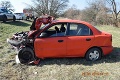 Smrteľná nehoda na Záhorí: Auto narazilo do stromu, nepripútaný vodič († 45) zraneniam podľahol