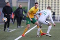 Žilina poľahky do semifinále Slovnaft Cupu, Seničan Ramirez strelil Nitre štyri góly