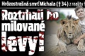 Hrôzostrašná smrť Michala († 34) z reality šou Farmár hľadá ženu: Roztrhali ho milované levy!
