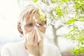 Obdobie sennej nádchy: Ktoré alergény už poletujú vo vzduchu? Pozrite si peľový kalendár na tento rok