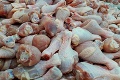 Po hovädzom už aj kuracina: Česi zadržali zásielku mrazených stehien z Poľska s potvrdenou salmonelou