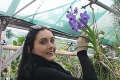 V botanickej záhrade vyšľachtili vlastný druh orchidey: To, čo majú v Nitre, neuvidíte ani v tropických pralesoch!