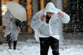 Japonsko zasiahla silná snehová víchrica: Zahynuli štyria ľudia