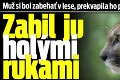 Muž si bol zabehať v lese, prekvapila ho puma: Zabil ju holými rukami