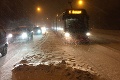 Tragická nehoda neďaleko Prahy: Autobus zišiel z cesty a narazil do stromu!