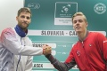 Žreb Davisovho pohára: Súboj proti Kanade začne slovenský debutant