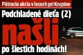 Pátracia akcia v lesoch pri Krupine: Podchladené dieťa (2) našli po šiestich hodinách!