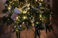 Fotka ľuďom totálne poplietla hlavy: Nájdete mačku, ktorá sa ukrýva vo vianočnom stromčeku?
