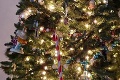 Fotka ľuďom totálne poplietla hlavy: Nájdete mačku, ktorá sa ukrýva vo vianočnom stromčeku?