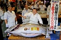 Z mora vytiahli 278-kilového tuniaka: Na aukcii sa predal za šialenú sumu