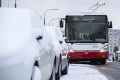 Husté sneženie v Bratislave spôsobuje problémy v MHD: Niektoré linky nepremávajú, trolejbusy uviazli