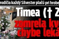 Nešťastní rodičia každý Silvester plačú pri hrobe dcéry: Timea († 22) zomrela kvôli chybe lekára