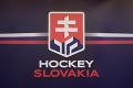 Višňovský to povedal na rovinu: V hokeji máme vážnejšie problémy ako logo!