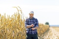 Farmári vydrankali od vlády 34 miliónov eur za škody na poliach: Najviac prerobili na kukurici a pšenici