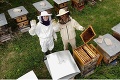 Jedinečný projekt Zachráň včely zabojuje o mastnú sumu: Srdce úľa odhalí aj votrelca