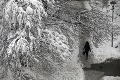 Balkán sužuje chladné počasie: V Srbsku dokonca zahynul človek