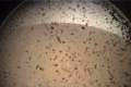 Sonda InSight poslala na Zem prvé snímky: Úžasné zábery priamo z Marsu
