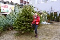 Začal sa predaj symbolu najkrajšieho sviatku v roku: Koľko zaplatíte za vianočný stromček?
