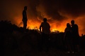 Nemecko aj naďalej bojuje s požiarom: Zranil už desiatky ľudí