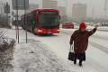 Sneženie ochromilo Bratislavu: Doprava kolabuje! Nehody a hodinové kolóny