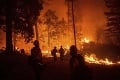 Najtragickejší lesný požiar v Kalifornii: Počet obetí stúpol už na 79