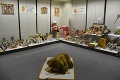 Výstava, ktorá poteší deti aj dospelých: V Novej Bani majú najviac medvedíkov na jednej kope