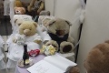 Výstava, ktorá poteší deti aj dospelých: V Novej Bani majú najviac medvedíkov na jednej kope