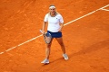 Cibulková sa vracia k tenisu: Aha, čo chystá bývalá svetová štvorka!