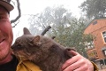 Mačka si na kalifornskom zhorenisku prešla peklom: Po záchrane si adoptovala hasiča