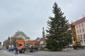 Košice už majú vianočný stromček: Borovicu vyťali spred kostola
