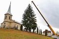 Košice už majú vianočný stromček: Borovicu vyťali spred kostola