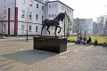 Kontroverzný žrebec v centre Košíc čelí kritike: Prečo sochu koňa osadili tajne v noci?