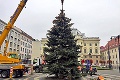 Aj Staré Mesto už zdobí symbol Vianoc: Kde stojí krajší stromček?