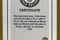 Prešovčania skončili v Guinnessovej knihe rekordov: Obraz z 15 625 loptičiek zložili za deň, tu je výsledok!
