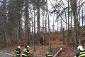 Počasie im dalo zabrať: V Trnavskom kraji sa hasiči pasovali so spadnutými stromami