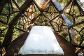 Unikátny dom pod korunami stromov vám vyrazí dych: Stačí jeden pohľad do interiéru a budete v ňom chcieť spať!