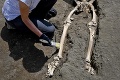 Pompeje hlásia nový objav: Budú sa kvôli odkazu v hrobe prepisovať dejiny?