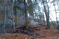 Požiar lesa v Gaderskej doline: Hasiči s ním bojujú už niekoľko hodín