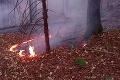Požiar lesa v Gaderskej doline: Hasiči s ním bojujú už niekoľko hodín