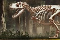 Vytvorili najpresnejšiu rekonštrukciu T-Rexa: Takto ste Tyranosaura ešte nevideli
