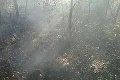 Hasiči v Hnúšti majú opäť poplach: V meste horela skládka odpadu, teraz les!