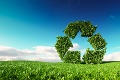 Slováci sa zúčastnili medzinárodného prieskumu: Prekvapivé výsledky o postoji k recyklácii