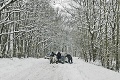 V Košiciach si zmerali sily najlepší slovenskí cestári: Pre vodičov, ktorí v zime hundrú, majú jediný odkaz