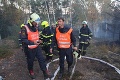 Lesný požiar vyčíňa v česko-nemeckom pohraničí: Hasičom sa ho nedarí dostať pod kontrolu