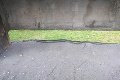 Počas jesennej prechádzky v Bratislave natrafil na najväčšieho slovenského hada: Aha, aký obor bol pri škole!