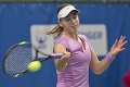Tenistka Schmiedlová ukončila hráčsku kariéru, zväzu oznámila dôvod