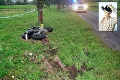 Motorkárska tragédia na Liptove: Juraj († 24) zomrel pár metrov od domu