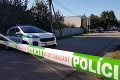 Polícia zasahuje na južnom Slovensku: Razie u spolumajiteľa firmy s miliónovými tržbami