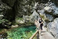 Zuzka oddychovala pri jazere Bled v Slovinsku, jedna nepríjemná vec jej bola povedomá: TOTO je v Tatrách rovnaké!