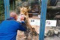 Primitívnosť, z ktorej vám bude zle: Robotníci v Zoo Bojnice sa zabávali trápením zvierat!